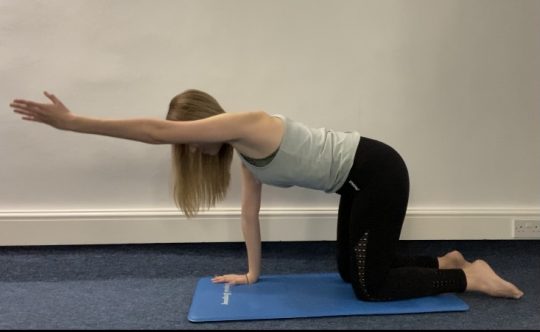 ALL FOUR ARM Safe exercise during pregnancy