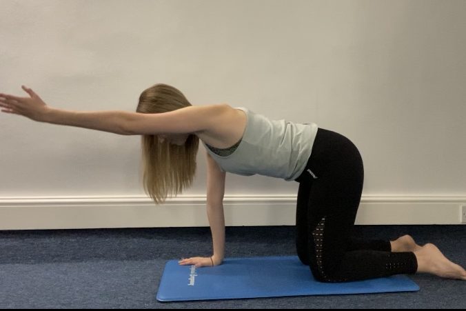 ALL FOUR ARM Safe exercise during pregnancy